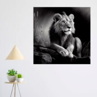 Cadre Noir et Blanc – Dessin détaillé d’un lion paisible cadre noir et blanc dessin détaillé d'un lion paisible