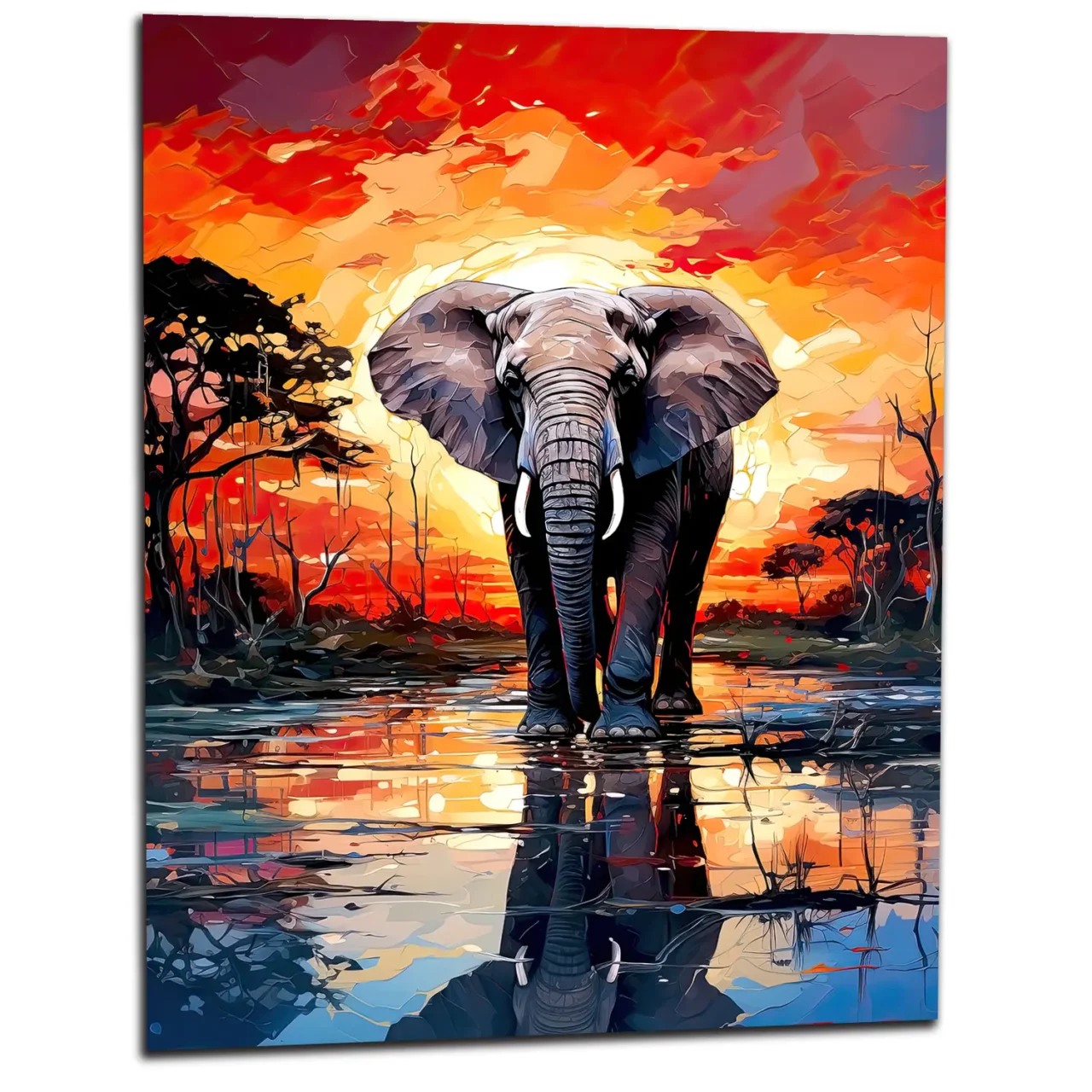 elephant dans la savane au coucher du soleil