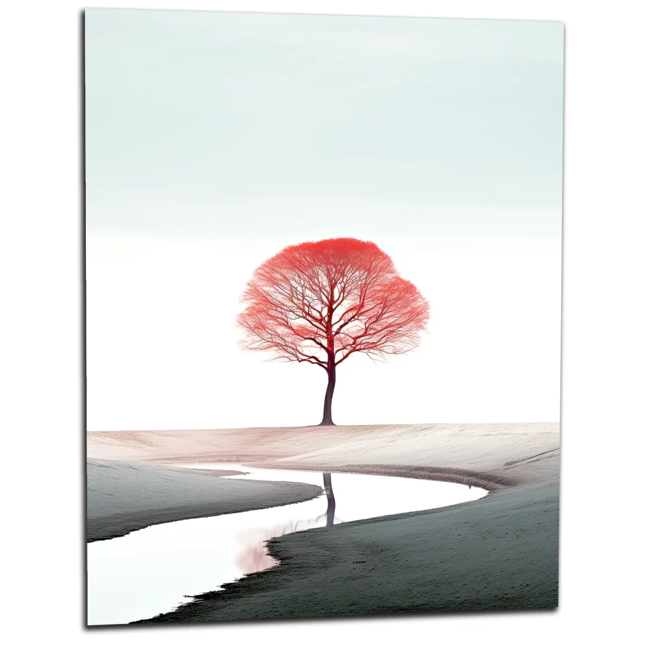 arbre rouge seul sur le sable