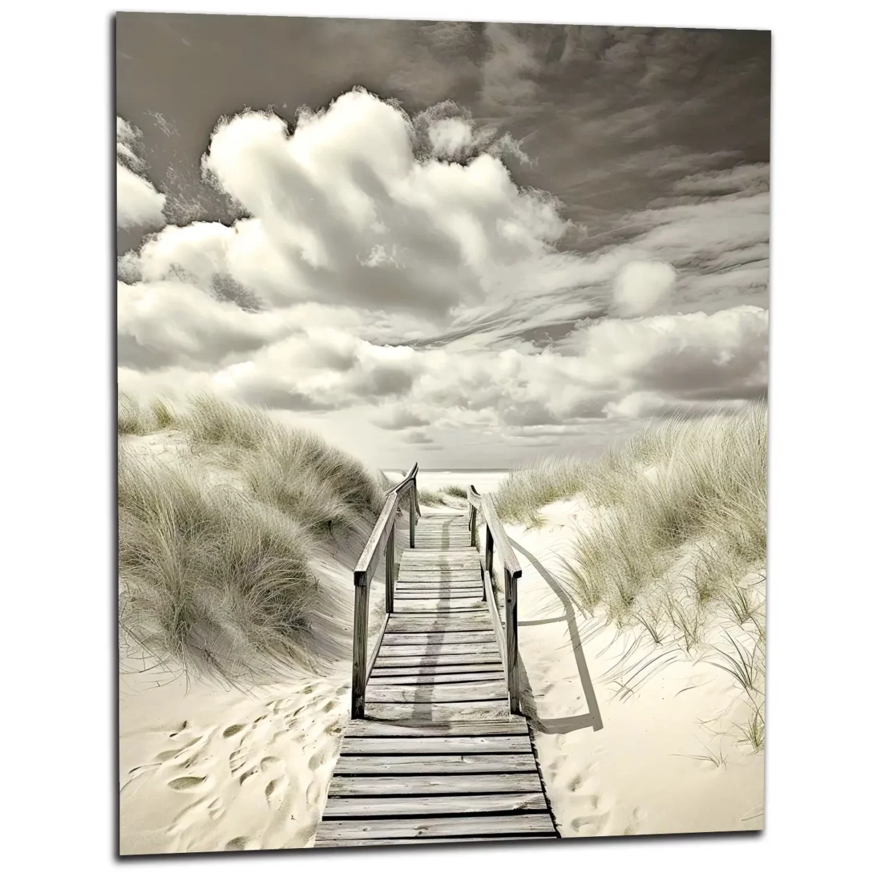 chemin de bois vers la plage sepia