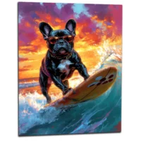 Bouledogue Français à lunettes surfeur bouledogue français à lunettes surfeur