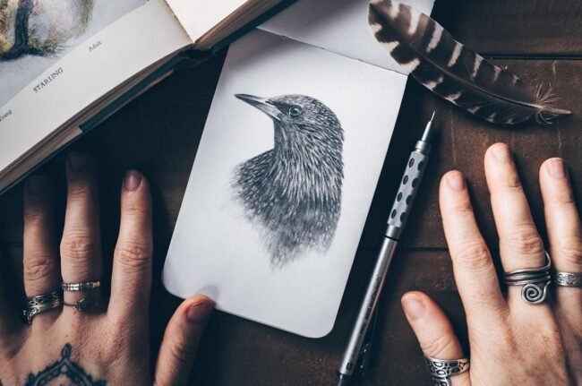 Mains tenant un carnet de croquis avec un dessin d'oiseau au crayon, plume et stylo posés sur une table en bois